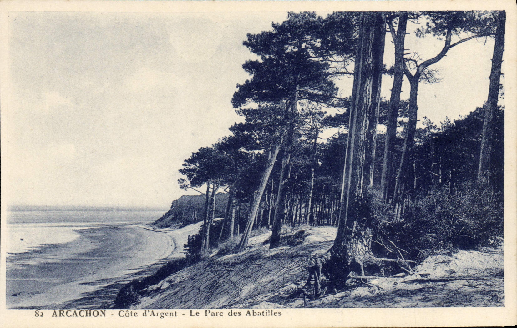 VINTAGE POSTCARD Arcachon Dimensions Money the park of Abatilles