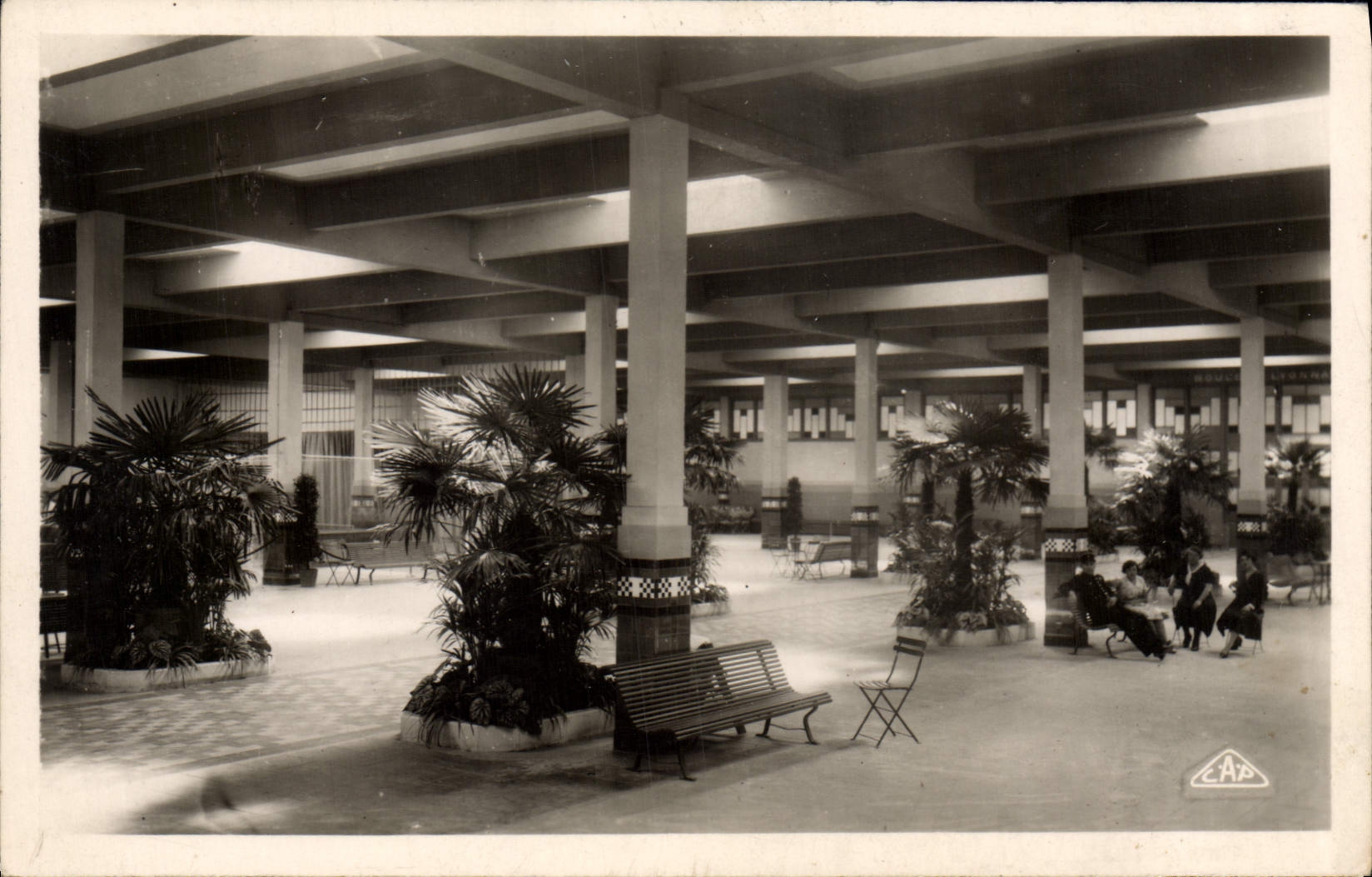 CPM Vittel Le palmarium Interieur