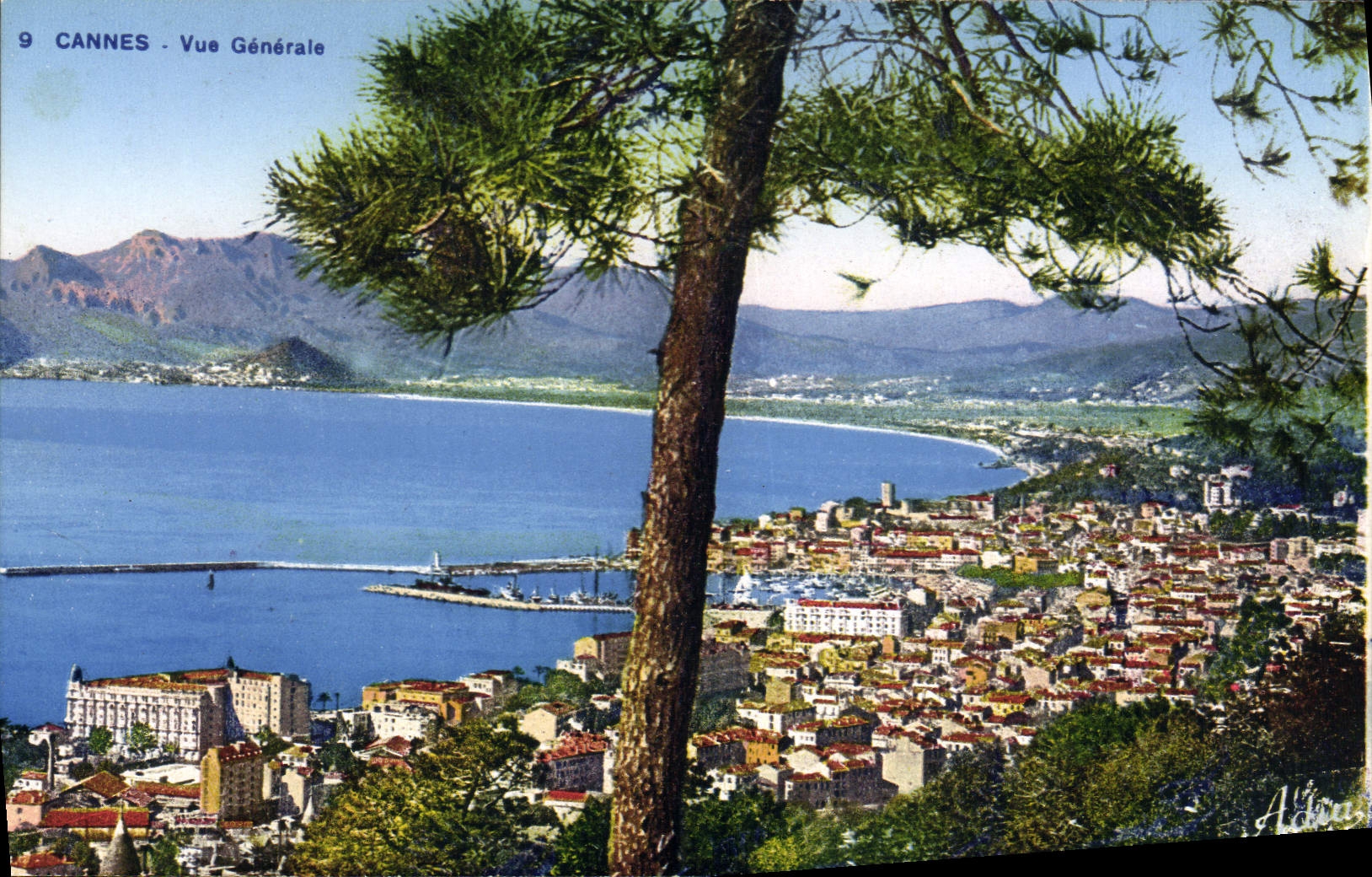 CPA Cannes Vue Generale