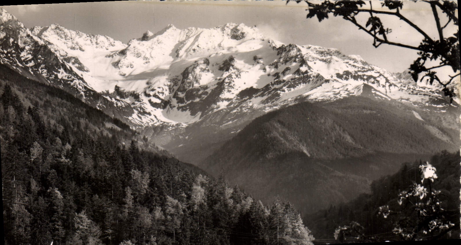 CPM Les belles Alpes Francaises D'Allevard Les Bains La glacier du Gleizin vu de la route de Pinsot