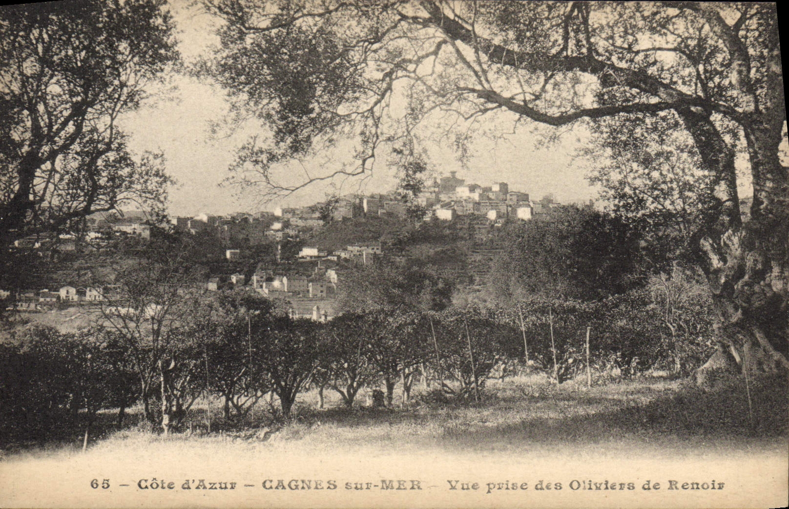 CPA Cote D'Azur Cagnes Sur Mer Vue Prise des oliviers de Renoir