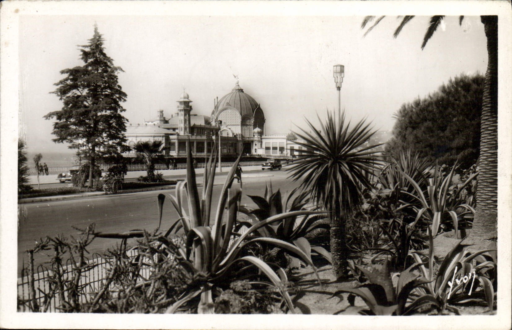 CPM Cote Dazur Nice La Flore Des Jardins Albert 1er et le palais de la jetee