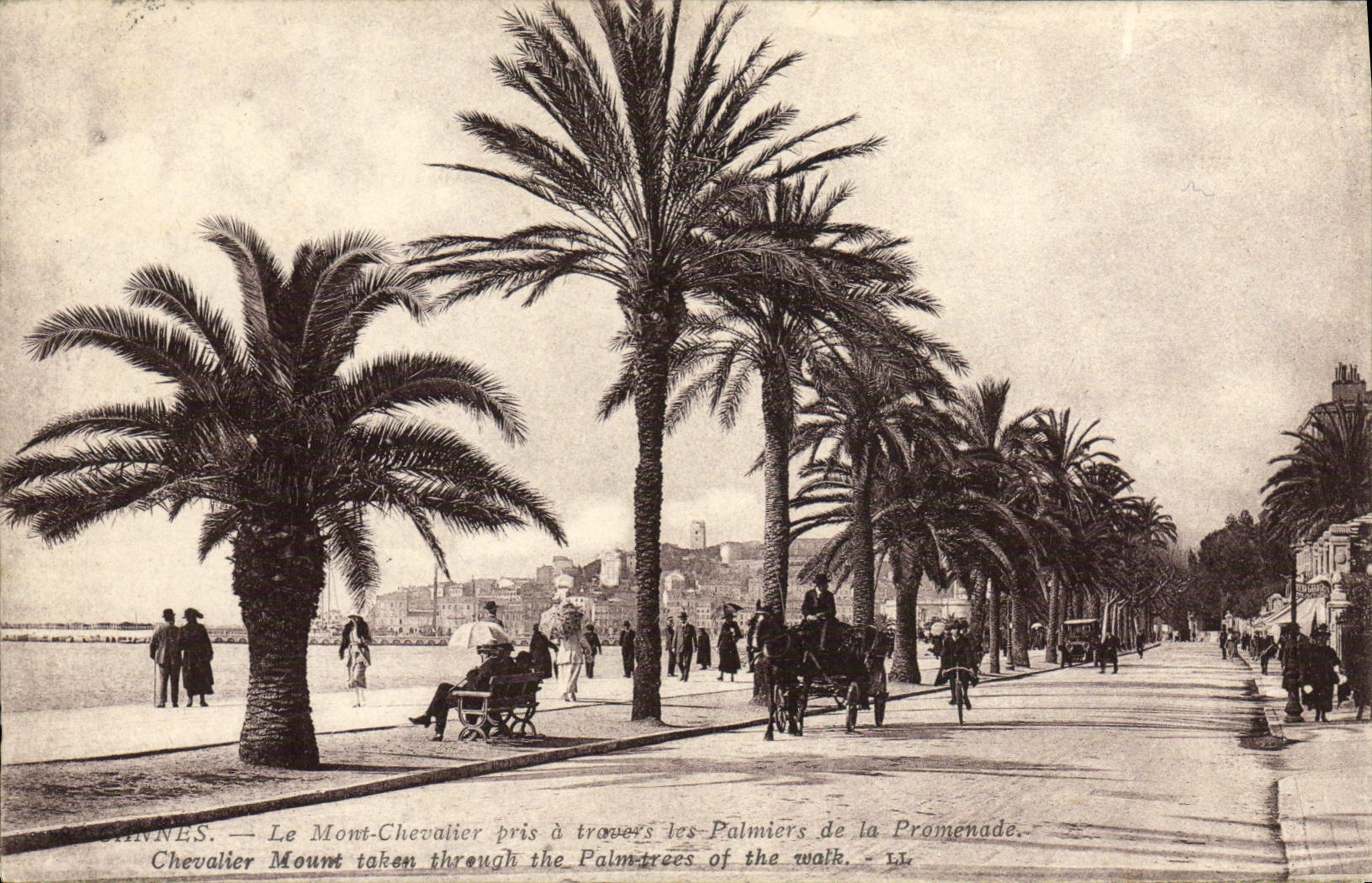 CPA Cannes Le Mont Chevalier pris a travers les palmiers de la promenade 