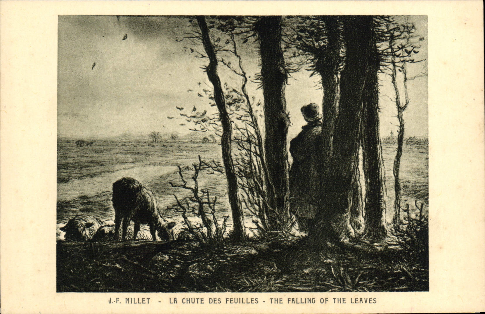 VINTAGE POSTCARD JF Millet the fall of the sheets