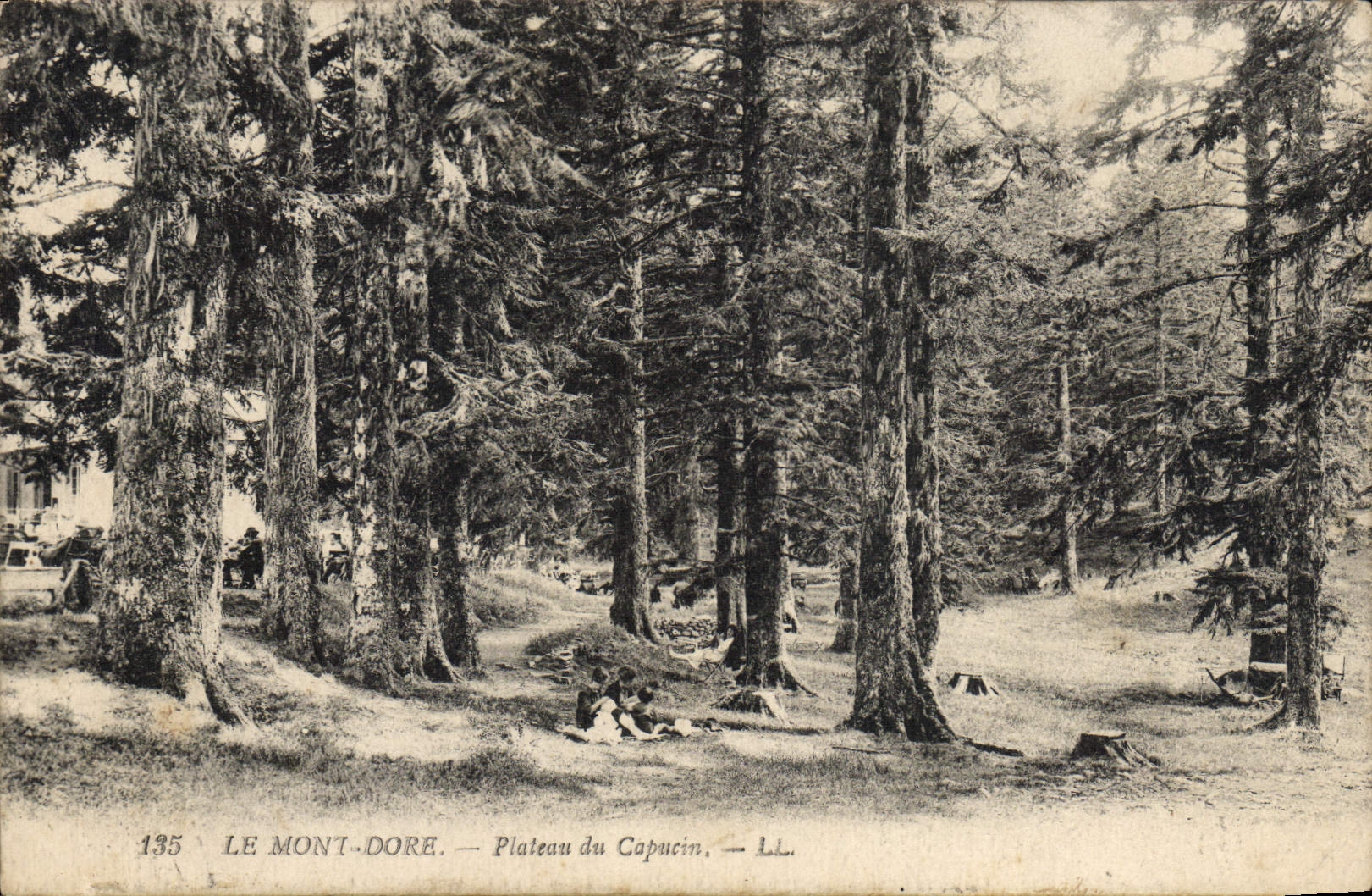 CPA Le Mont Dore Plateau du Capucin