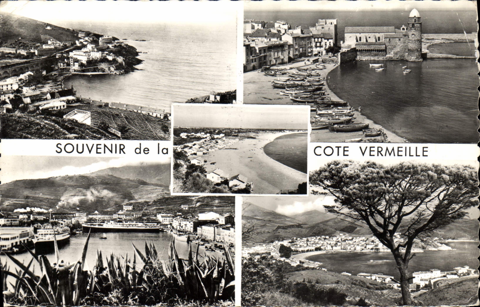 CPM Cote Vermeille Cerbere Collioure Argeles sur Mer Port Vendres Banyuls sur Mer 
