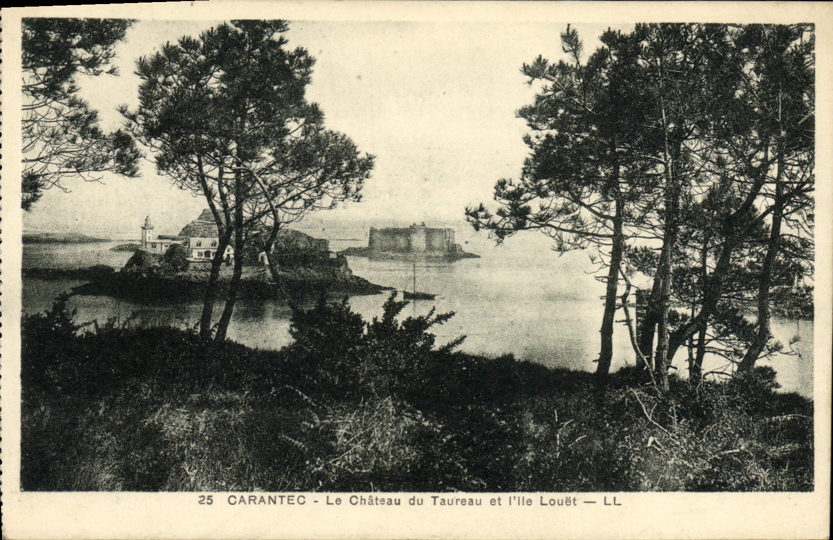 CPA Carantec Le Chateau du Taureau et I'lle Louet