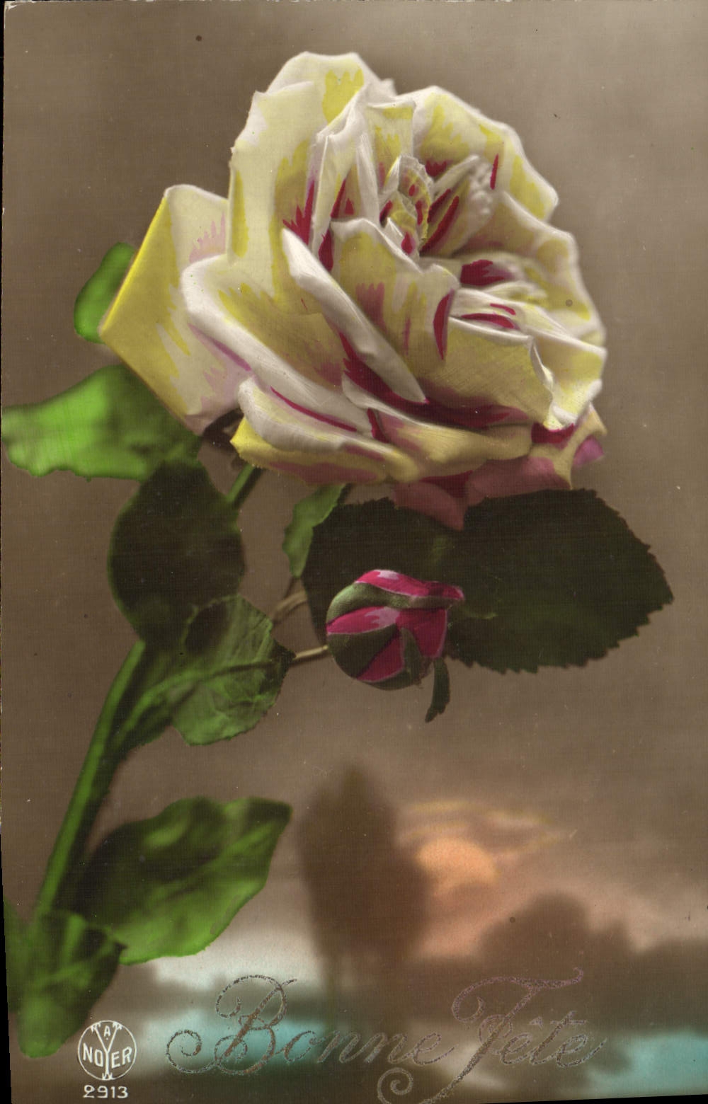 VINTAGE POSTCARD Fantasy Rose Flowers