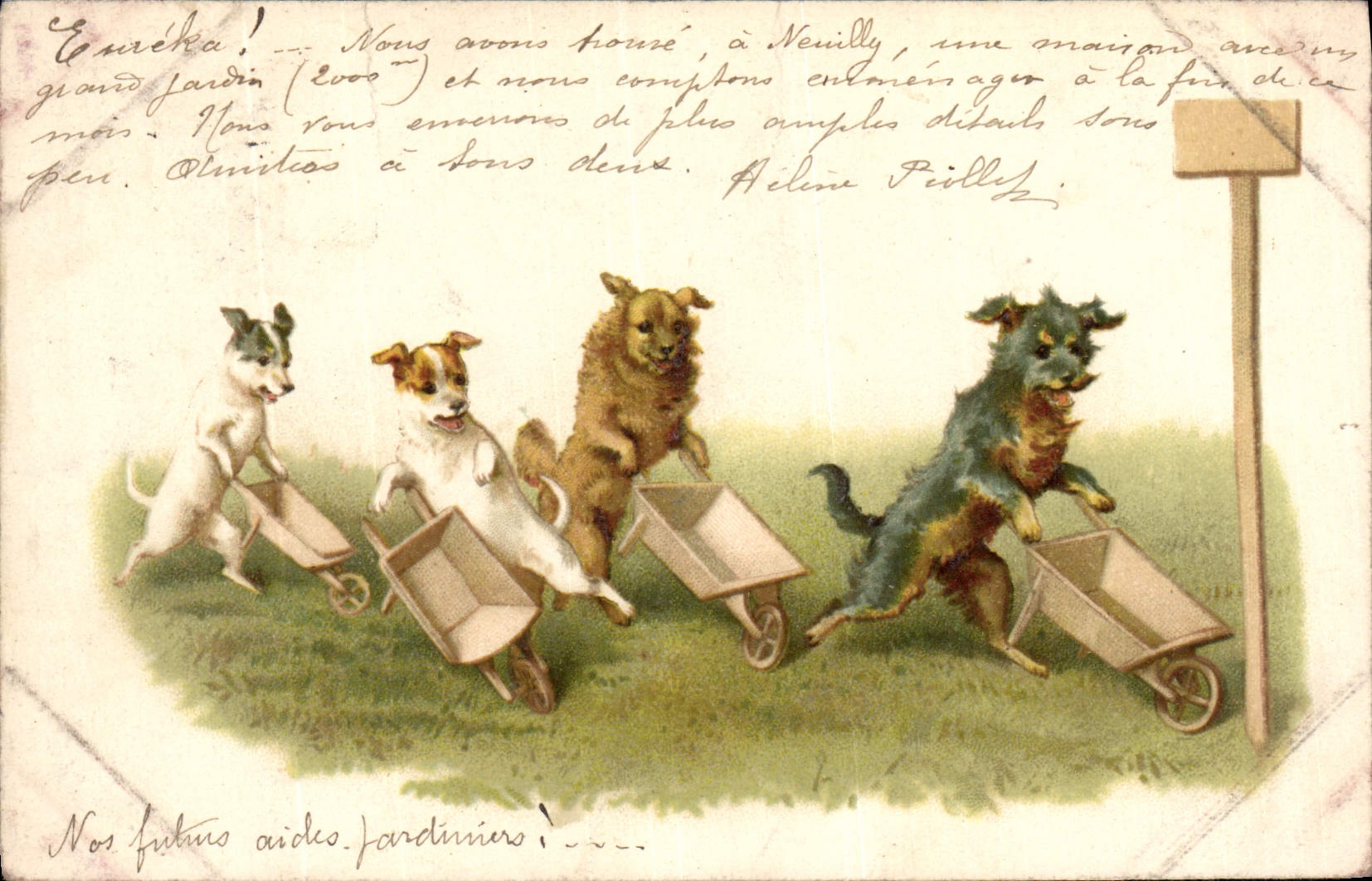 CPA Fantaisie Chien Chiens