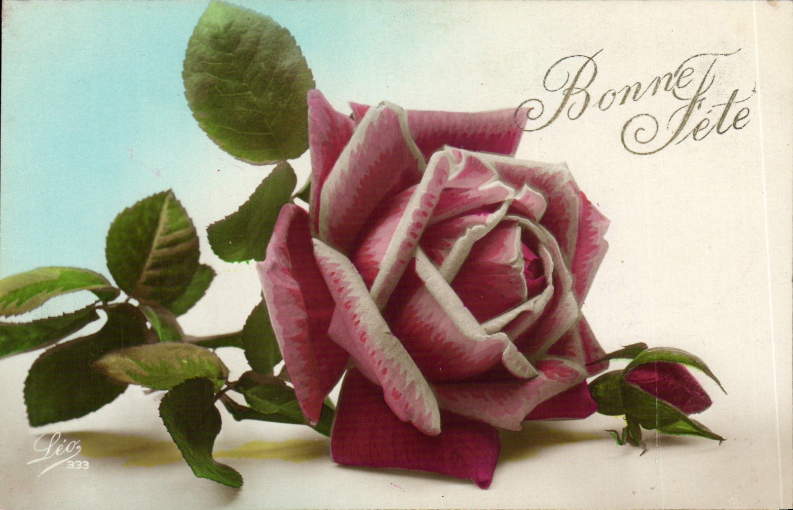 VINTAGE POSTCARD Fantasy Flower Rose