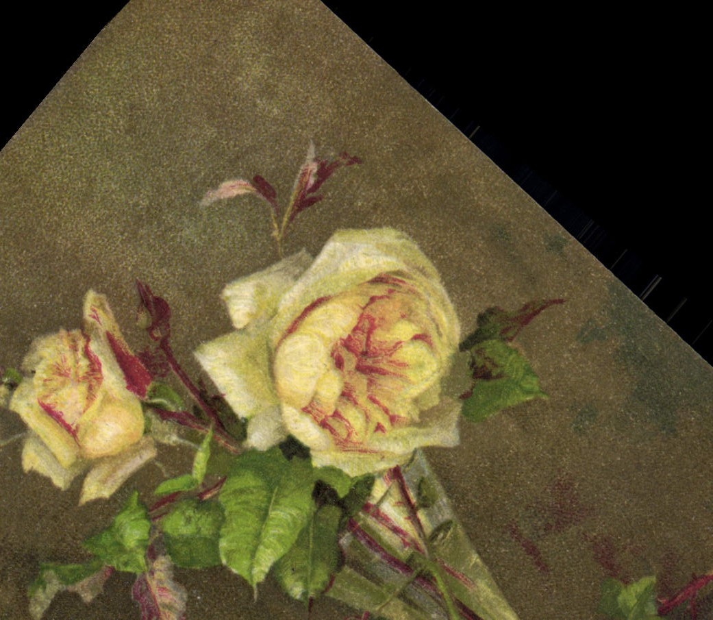 CPA Fantaisie Fleurs