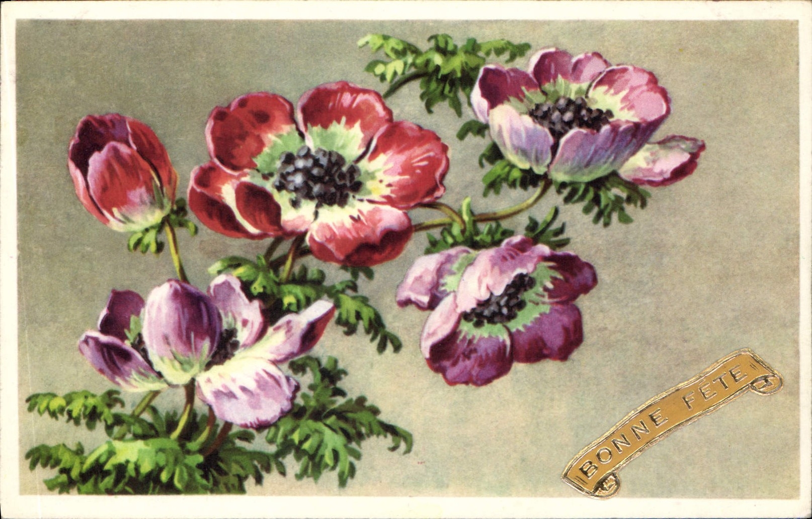 CPA Fantaisie Fleurs