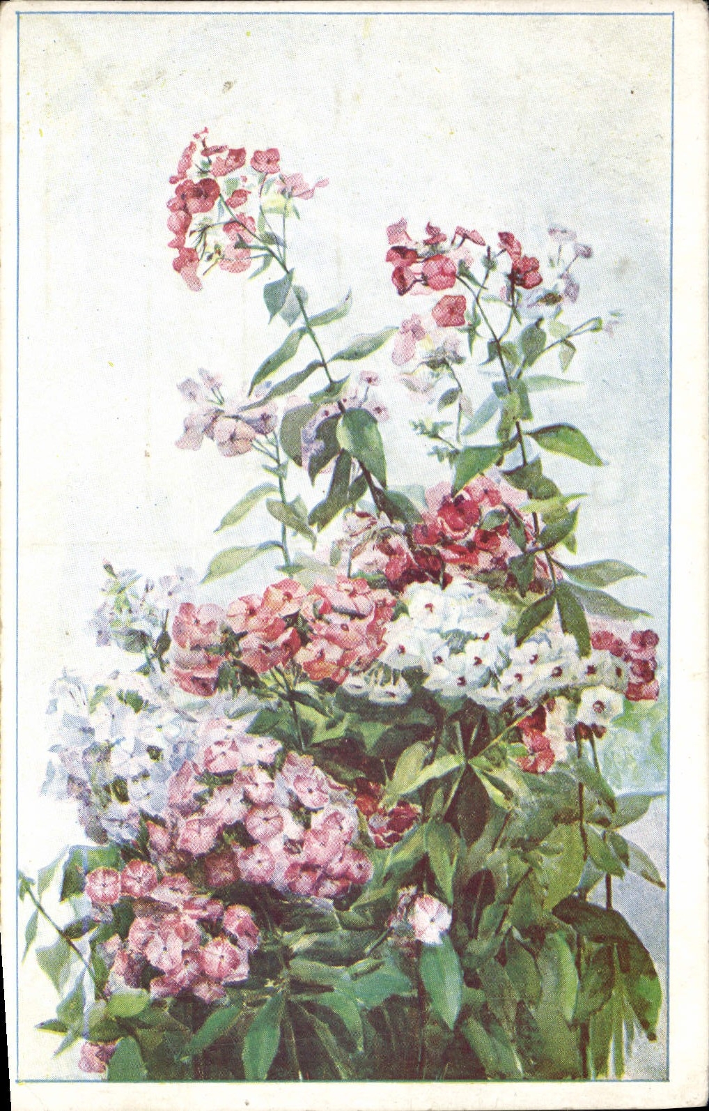 CPA Fantaisie Fleurs