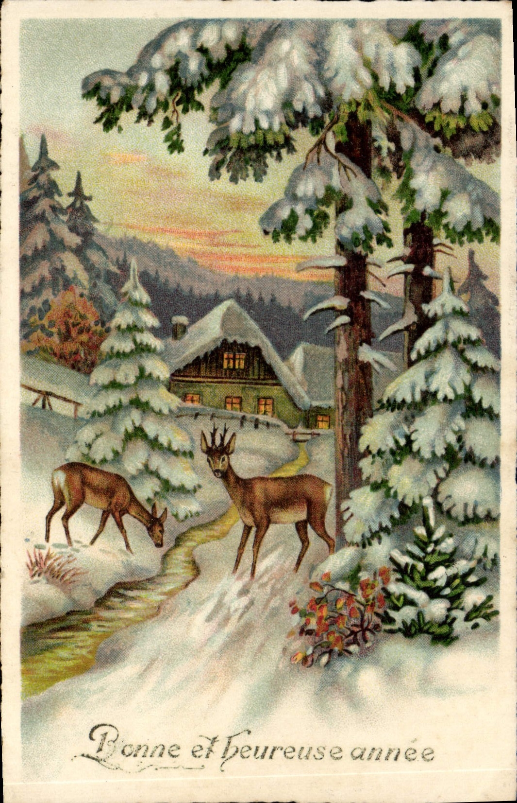 VINTAGE POSTCARD Fantasy Happy New Year Hind