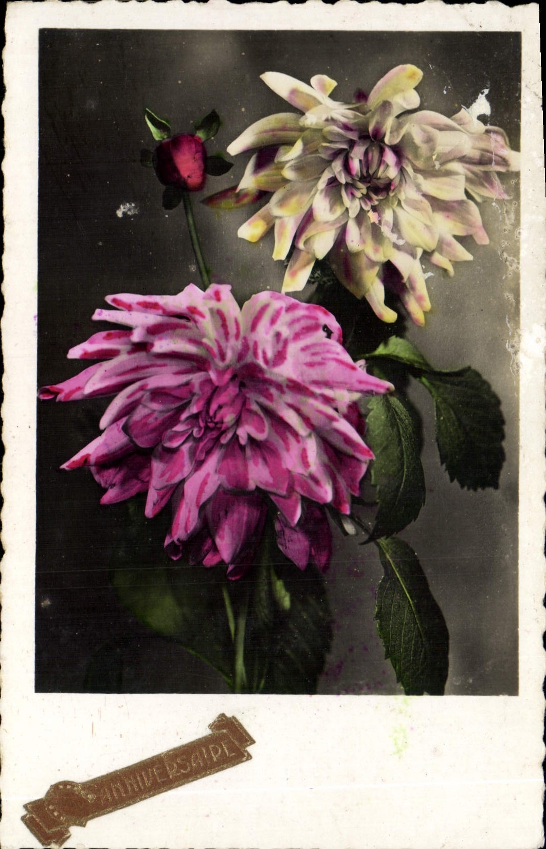 CPA Fantaisie Fleurs