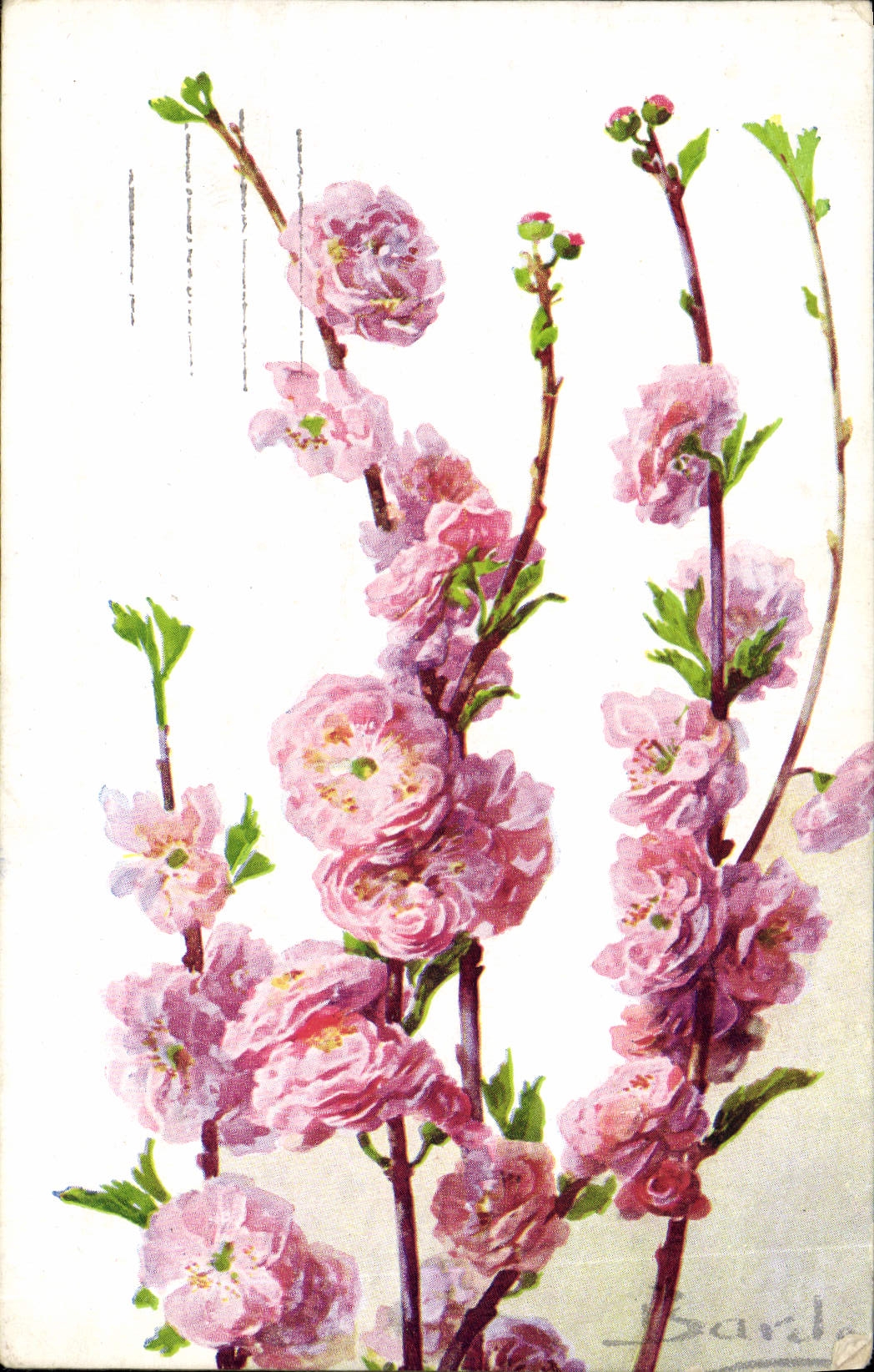 CPA Fantaisie Fleurs