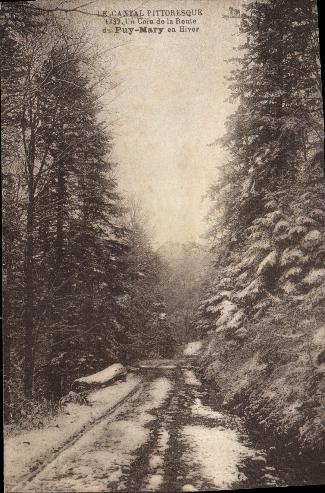 CPA Cantal Pittoresque un Coin de la Route du Puy Mary en hiver