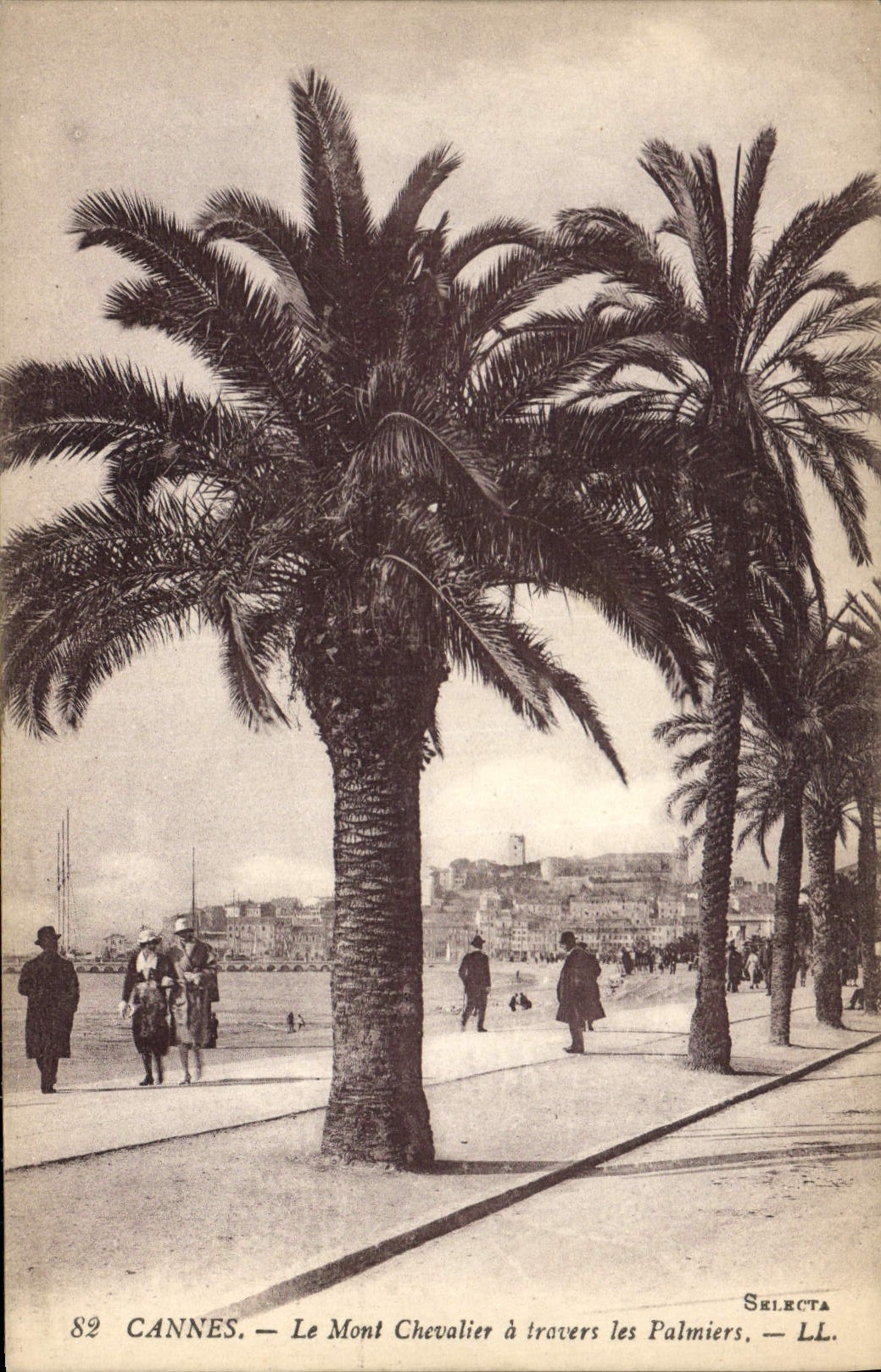 CPA Cannes Le Mont Chevalier a travers les palmiers 