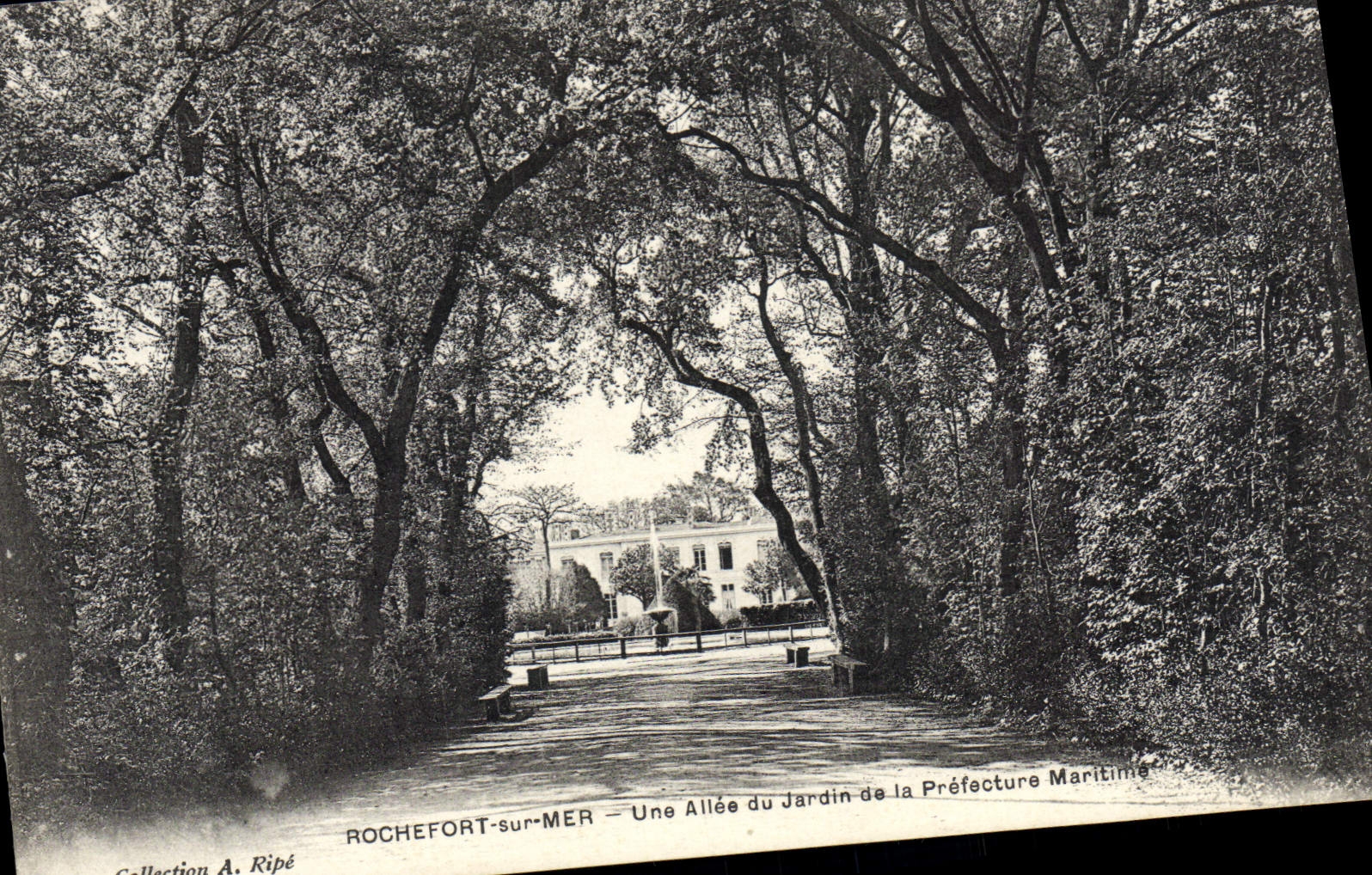 CPA Rochefort Sur Mer Une Allee du Jardin de la prefecture Maritime