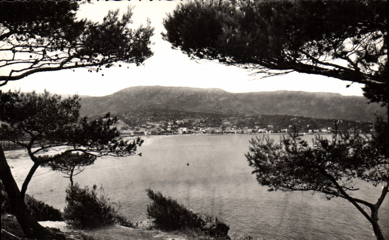 CPM Le Lavandou Vue generale