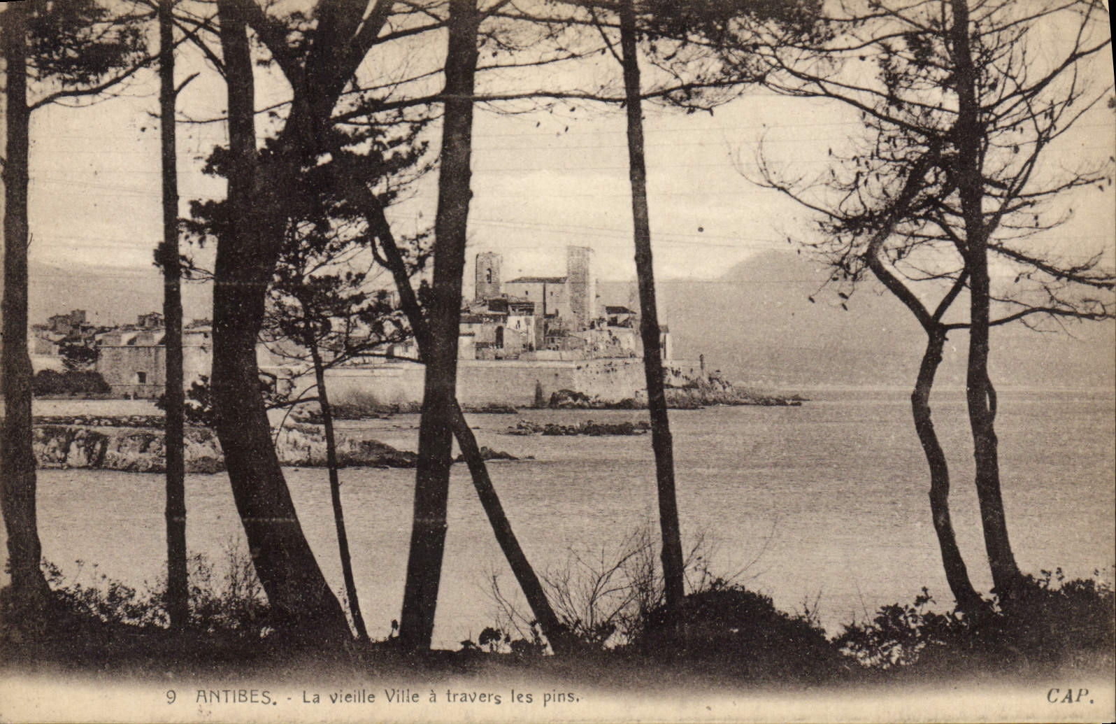 CPA Antibes La Vieille Ville a travers les Pins