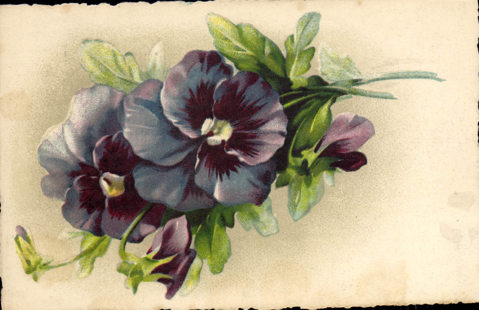 CPA Fantaisie Fleurs