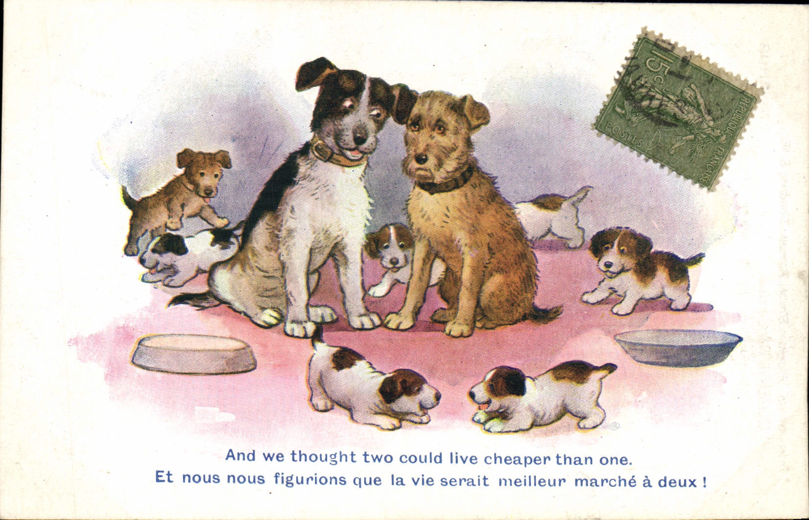CPA Fantaisie Chien Chiens 