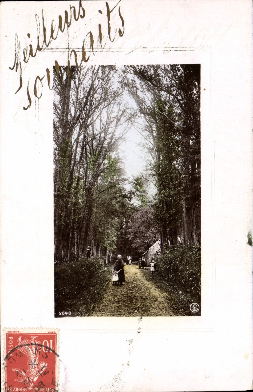 VINTAGE POSTCARD Chemin Arbres Fantasy
