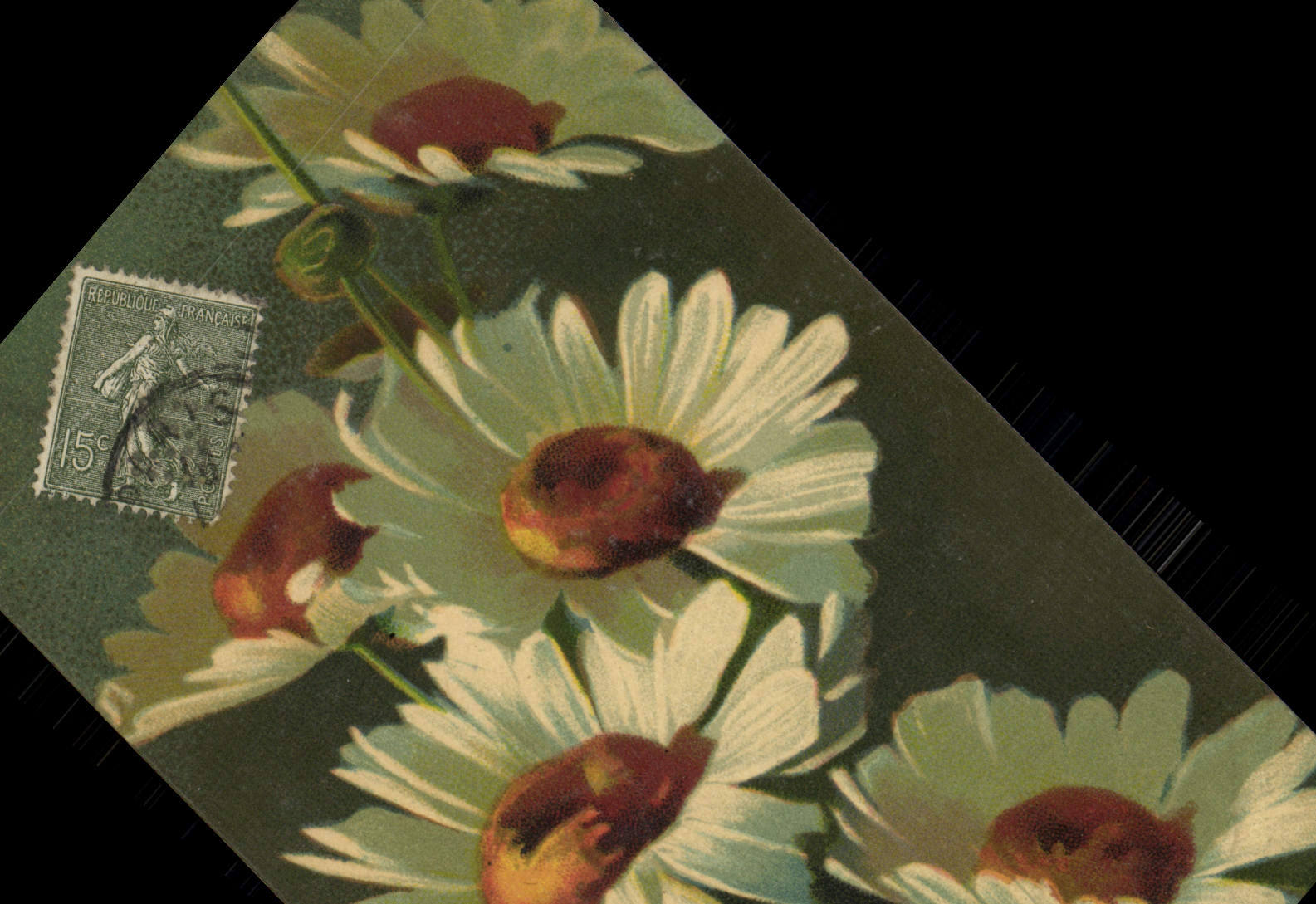 CPA Fantaisie Fleurs