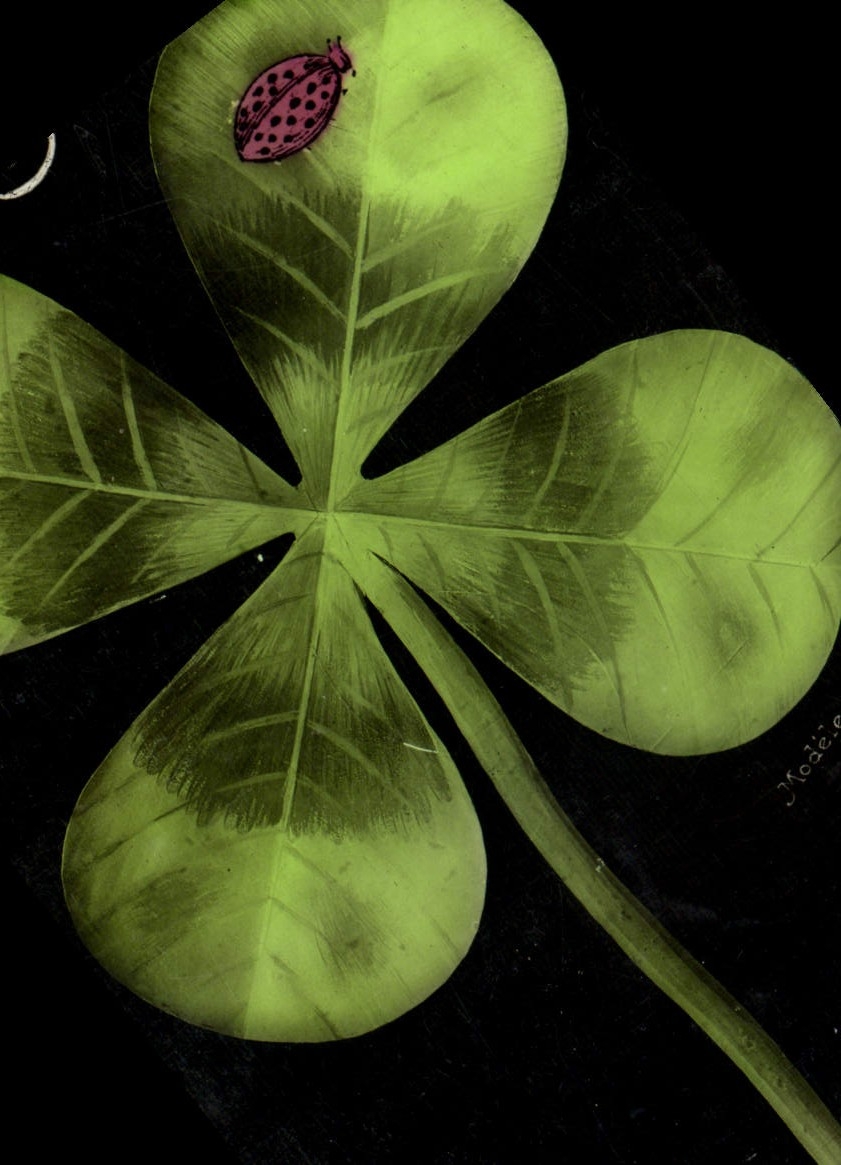 VINTAGE POSTCARD Fantasy Flowers Clover Ladybird