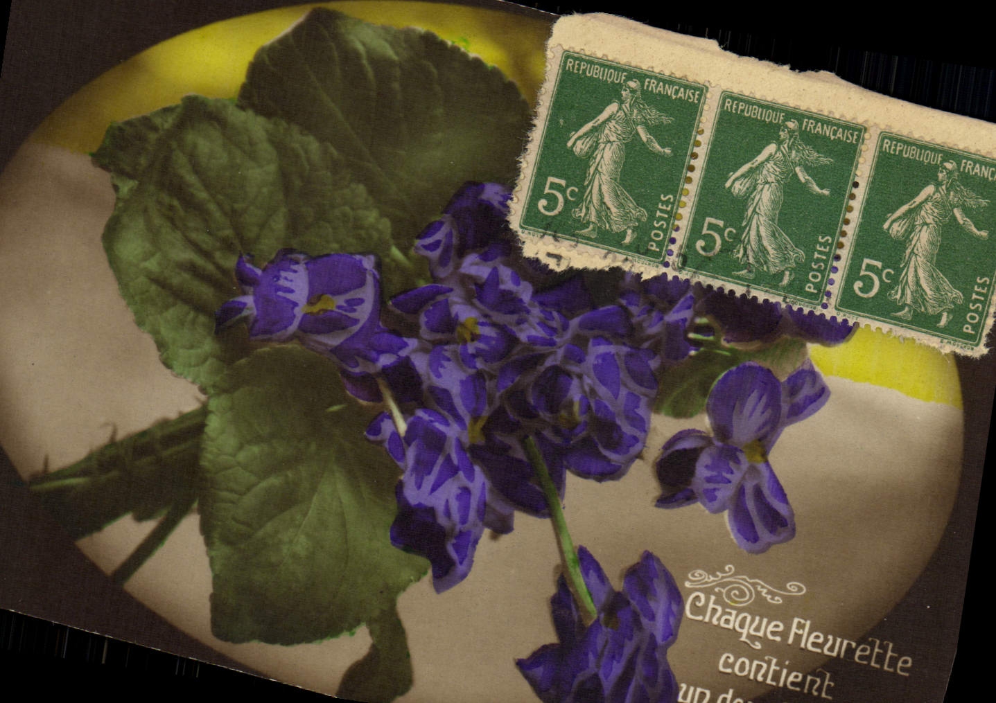 CPA Fantaisie Fleurs 