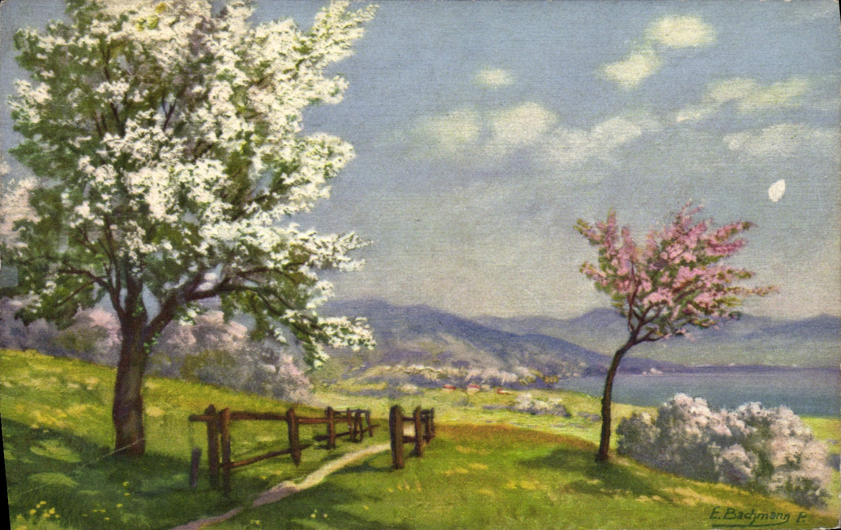 CPA Fantaisie Arbres