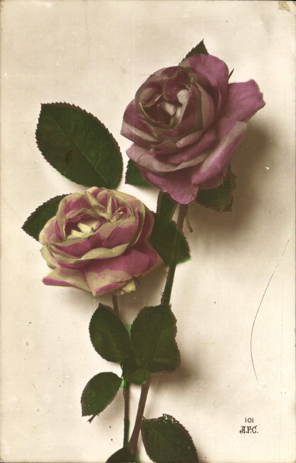 CPA Fantaisie Fleurs Roses