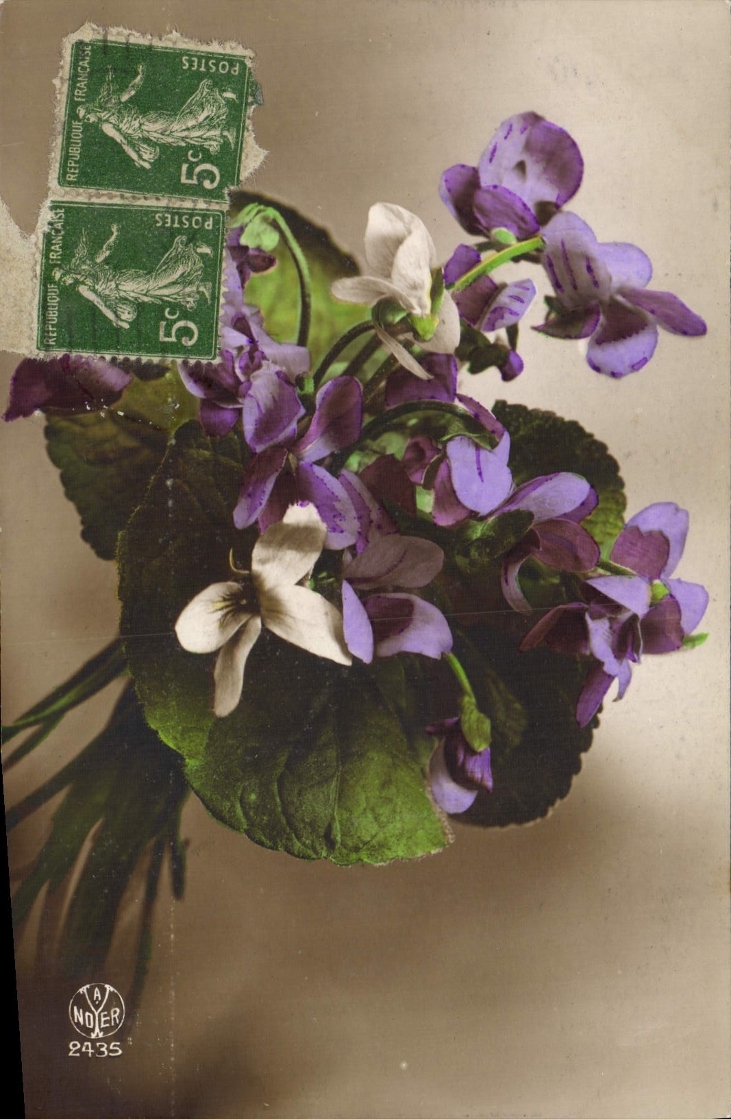 CPA Fantaisie Fleurs