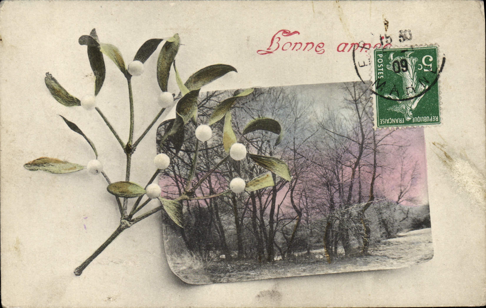 CPA Fantaisie Fleurs Gui