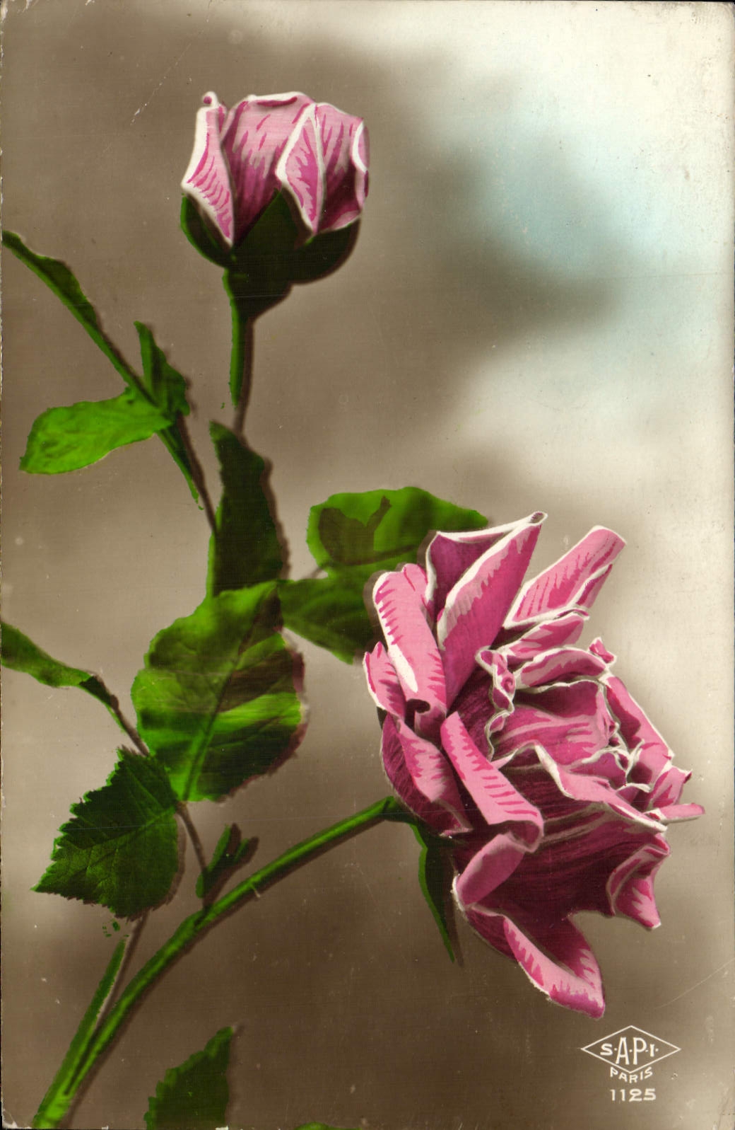 CPA Fantaisie Fleurs