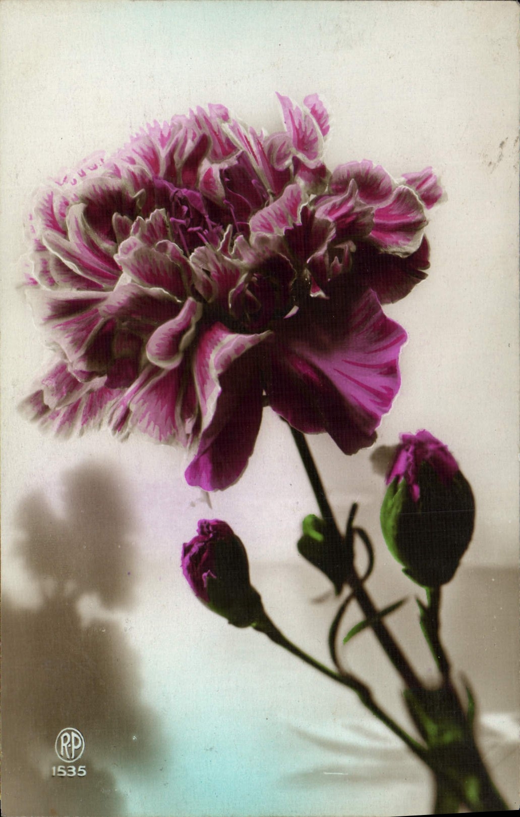 CPA Fantaisie Fleurs