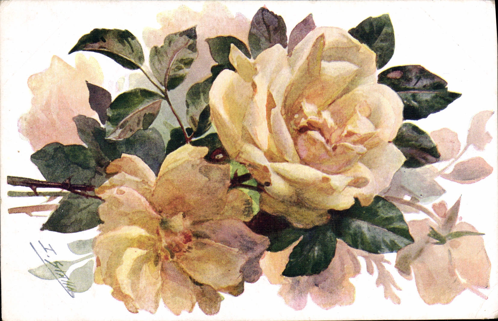 CPA Fantaisie Fleurs Rose