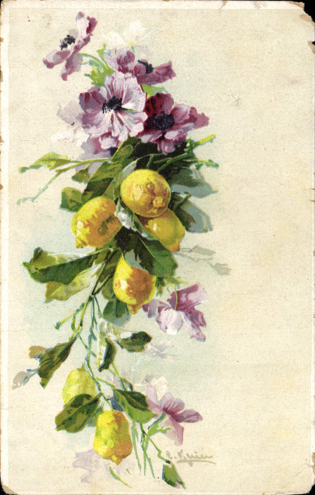 CPA Fantaisie Fleurs 