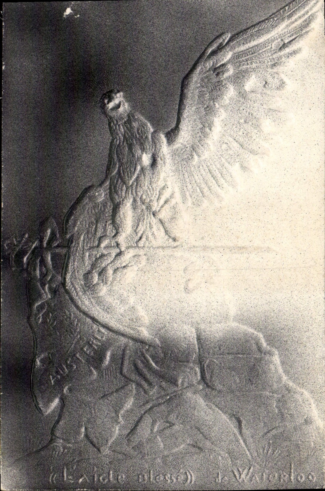 CPA Fantaisie l'aigle blesse de Napoleon 1er Militaria