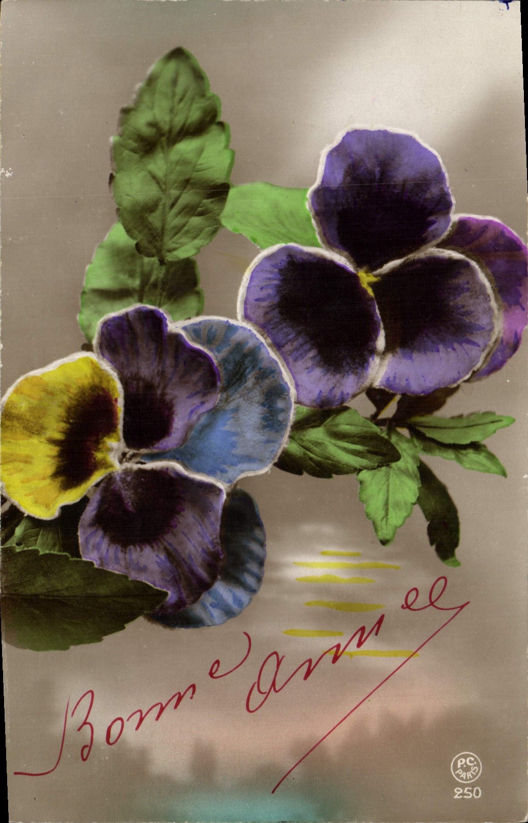 Flores de la fantasía de la POSTAL de la VENDIMIA