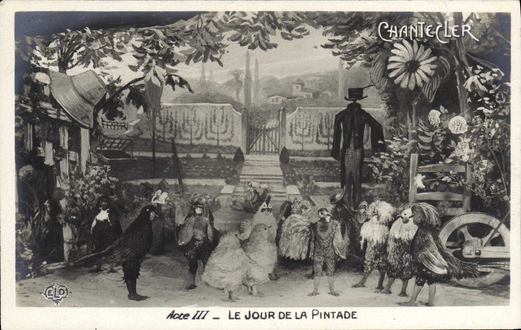 VINTAGE POSTCARD Chantecler Fantasy the day of the guinea fowl Cock Hens