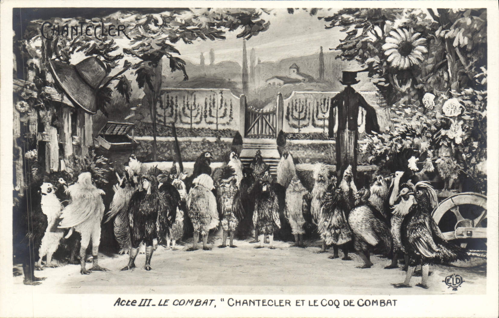 CPA Fantaisie Chantecler et le coq de combat Poules