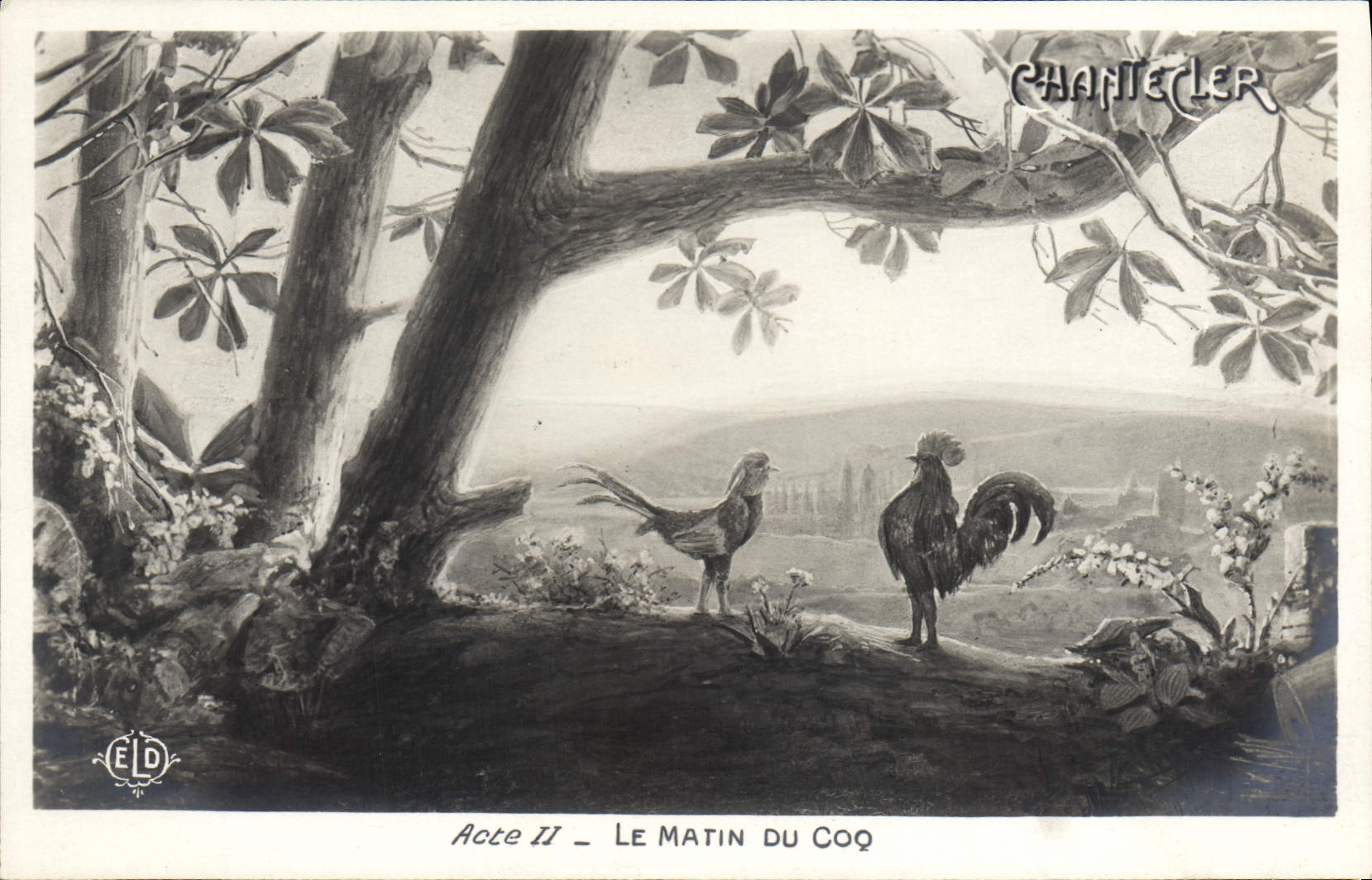 CPA Fantaisie Chantecler Le matin du Coq Poules