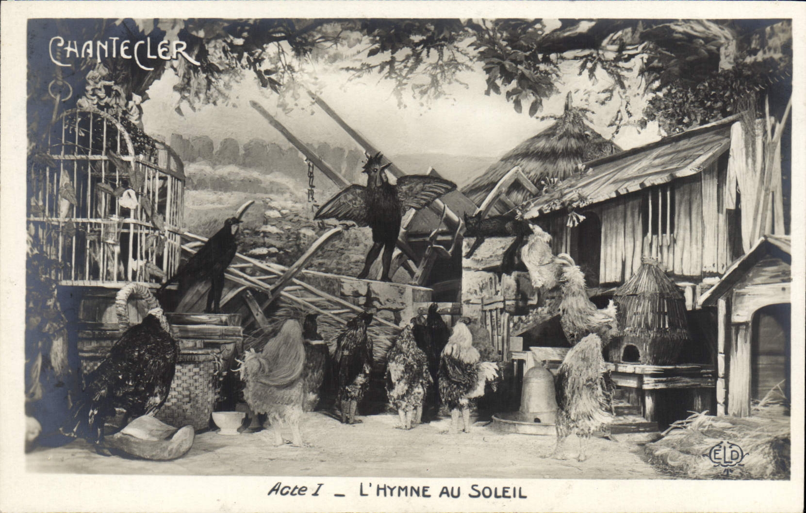 CPA Fantaisie Chantecler L'hymne au soleil Coq Poules