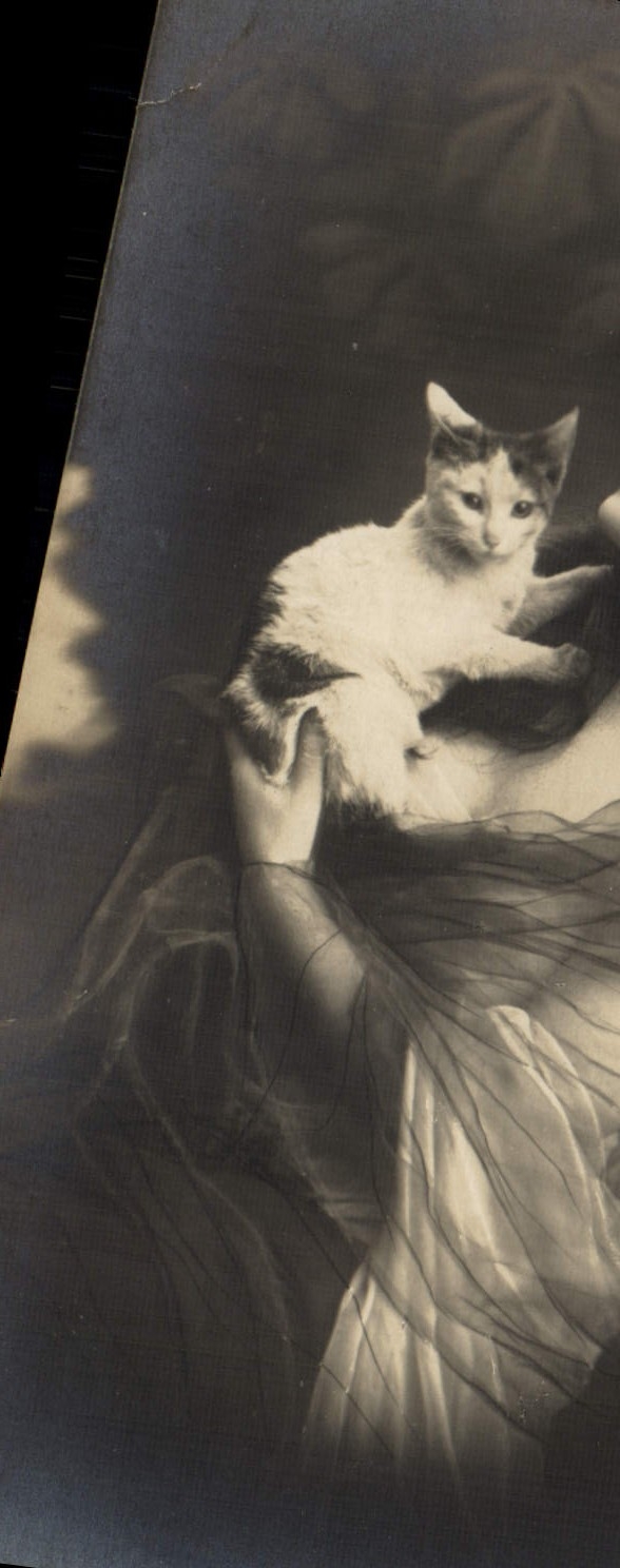 CPA Fantaisie Femme Chat Chaton