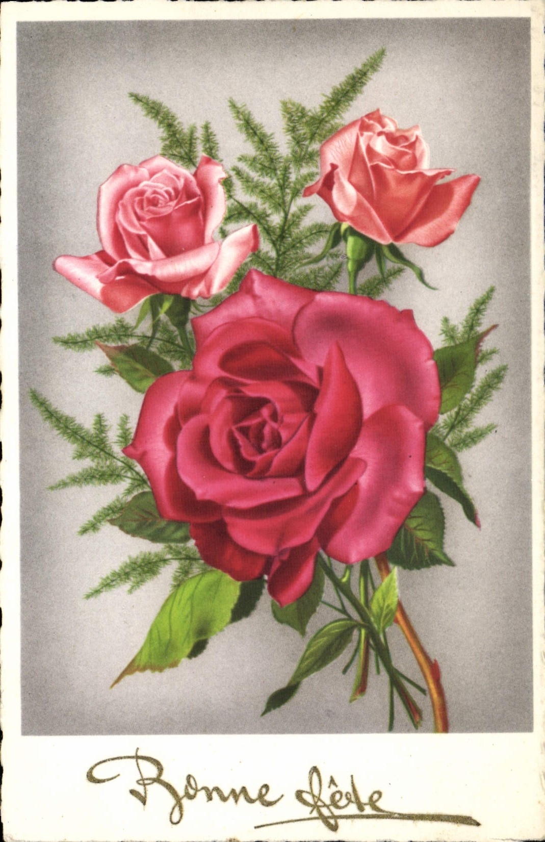 Flores del color de rosa de la fantasía de la POSTAL de la VENDIMIA