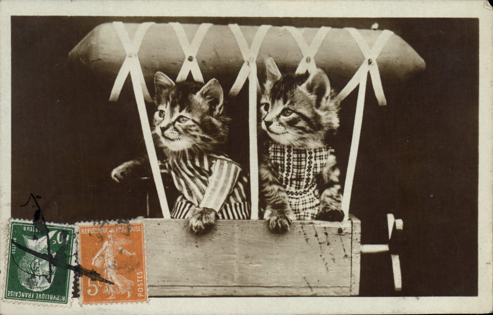 VINTAGE POSTCARD Fantasy Cat Cats Kitten