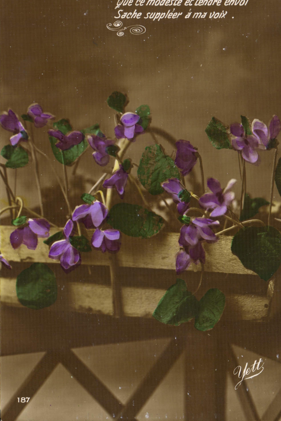 Flores de la fantasía de la POSTAL de la VENDIMIA