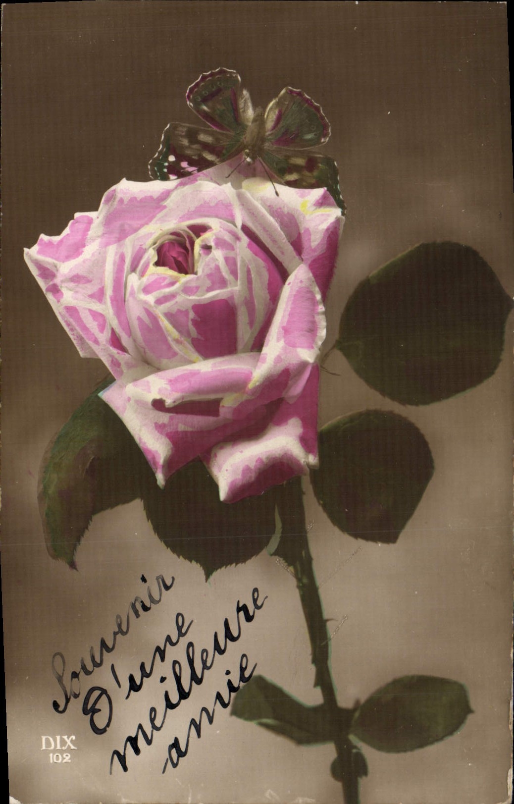 Flores de Rose de la fantasía de la POSTAL de la VENDIMIA